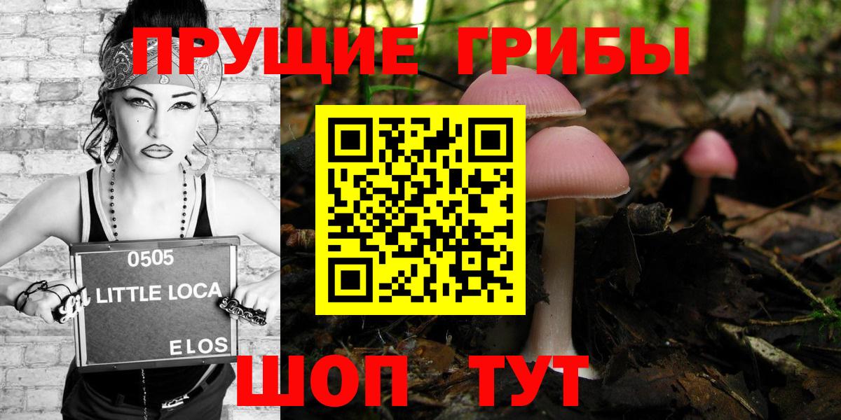 Галлюциногенные грибы Cubensis Егорьевск