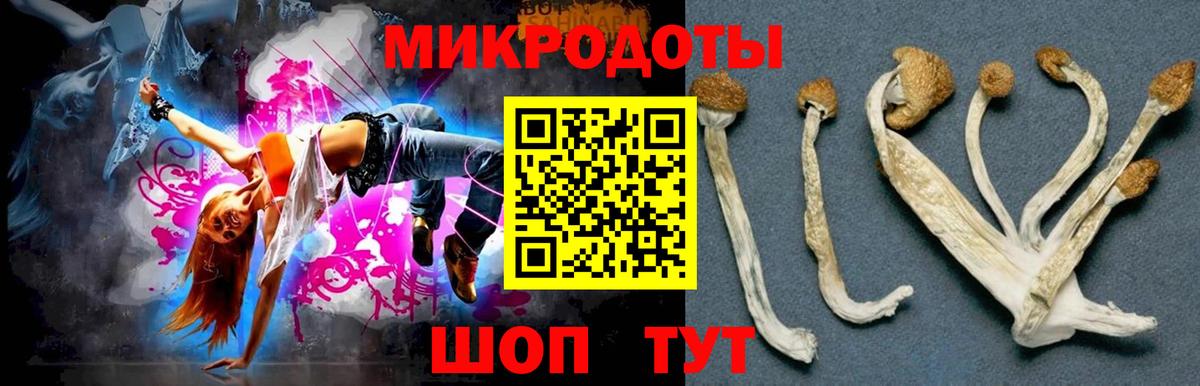 Егорьевск  Галлюциногенные грибы Psilocybine cubensis  Вход с VPN 